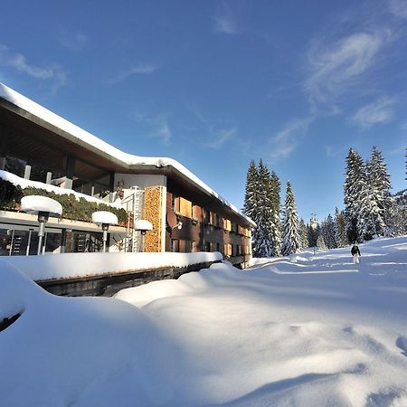 Saanewald Lodge Saanenmoser Bagian luar foto